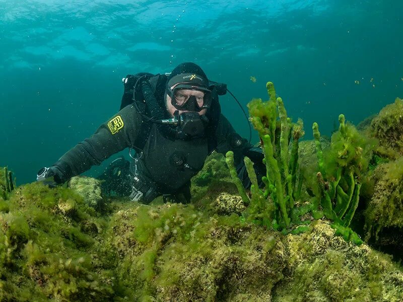 Со дна озера глубиной 20 м. Озеро байкал дно озера. байкал под водой. что на дне озера байкал. глубина байкала.