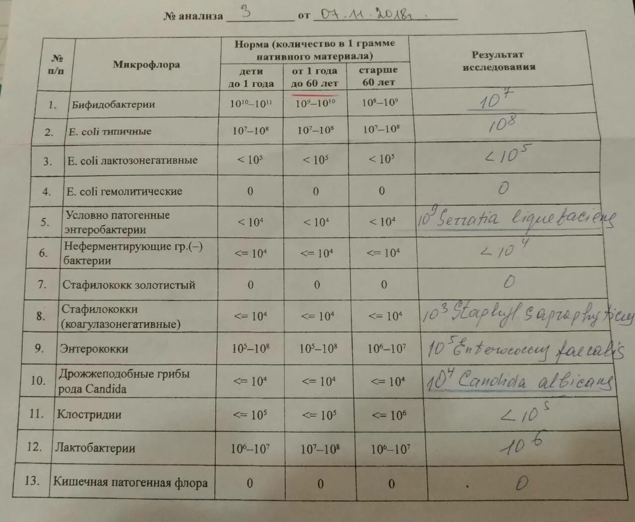 Исследование кала на микрофлору. Анализы. Анализ на патогенную флору. Анализ на бактериоз.