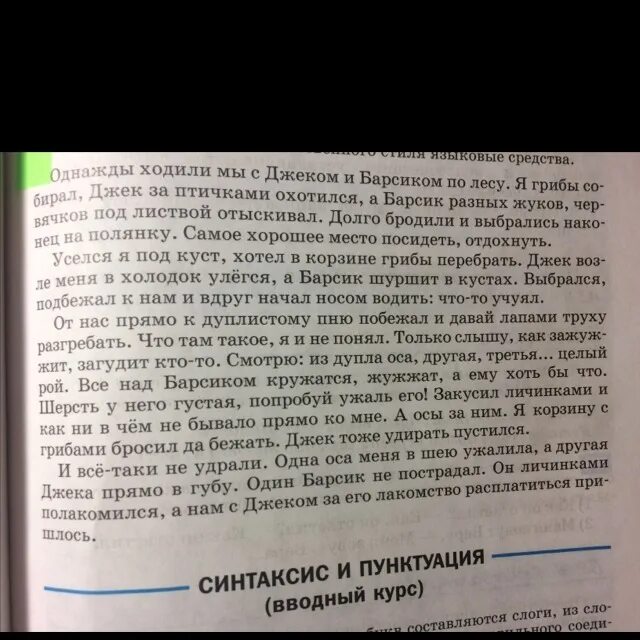 Барсик и Джек изложение. Однажды ходили мы с Джеком и Барсиком по лесу изложение. Изложение Барсик. План изложения Барсик. Живем однажды рассказ