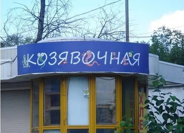 Название магазина. Смешные вывески магазинов. Название кафе. Смешные названия магазинов. Необычное название человека