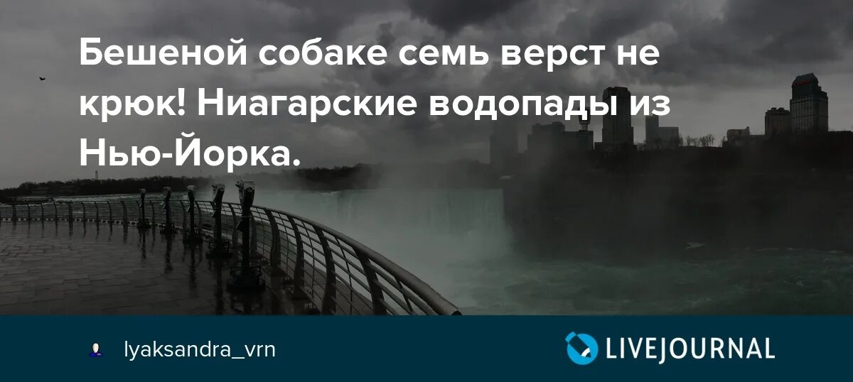 Семь верст не круг. Бешеной собаке поговорка. Для бешенной собаки и СТО верст не крюк. Поговорка бешеной собаке семь верст не крюк. Для бешеной собаки семь верст.