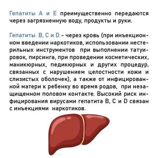 Гепатит печени профилактика