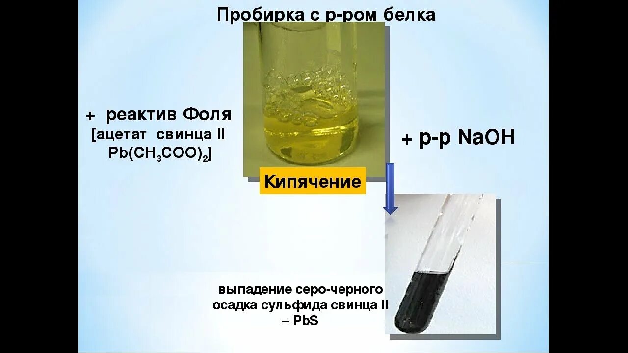 Гидроксид свинца 2 и гидроксид натрия. Реакция Фоля. Белок и Ацетат свинца. Цветные реакции на белки Фоля. Сульфгидрильная реакция с белком.