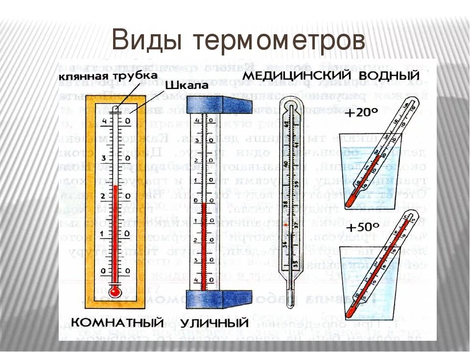 Термометр физика. Температура и ее измерение. Термометр с температурой. Термометр в физике.