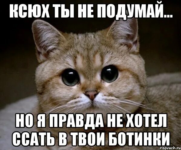 После Дрочки Хочется Спать