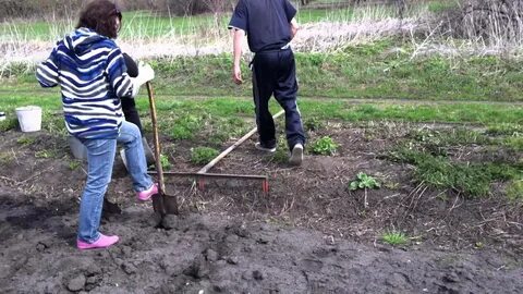 Быстрая посадка