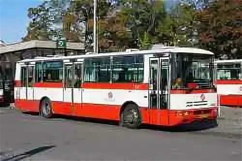 115 э автобус минск. Автобусы 2000. автобусы 2000 годов. автобусы 2000 годов фото. городские автобусы 2000-2010.