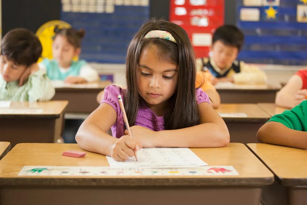 Американские студенты повседневно. Education leader. School. Евроамериканцы школьники. School seeks.