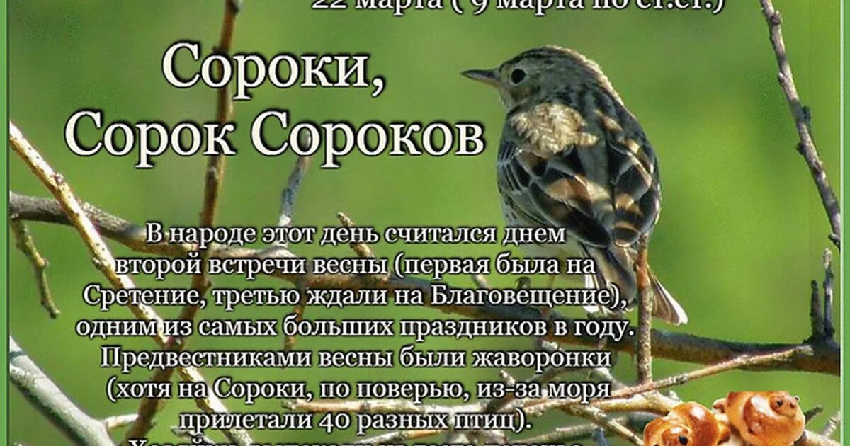 Приметы на 40 святых. Сороки праздник поздравления. С днем жаворонка поздравление.