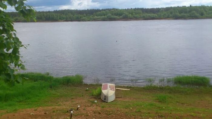 Уровень воды в гайнах на сегодня. Кама Гайны. Река Кама в Гайнах. Верховья реки Кама Гайны. Кама природа в Гайны.