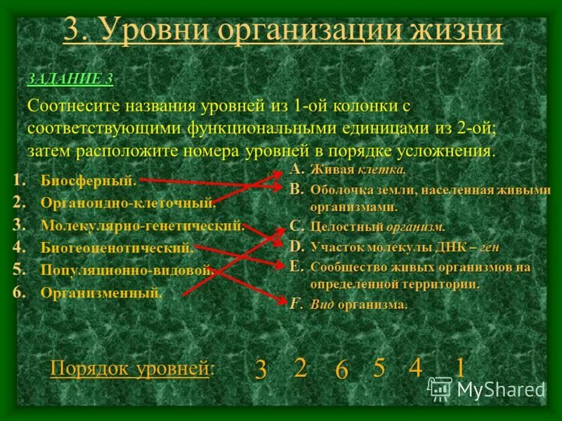 2 общая характеристика жизни. Органоидный уровень организации. Органоидно-клеточный уровень организации. Органоидный уровень организации жизни. 3. Уровни организации жизни.