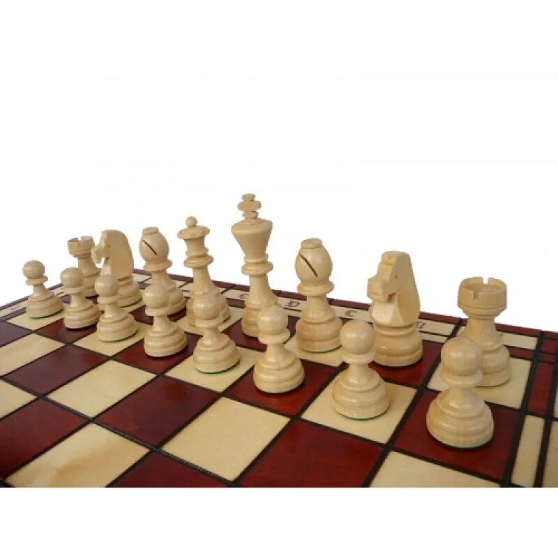 шахматный клуб ростов-на-дону. шахматы в ростове на дону. шахматистка ростов. шахматный клуб на газетном ростов-на-дону. стаунтон 8.