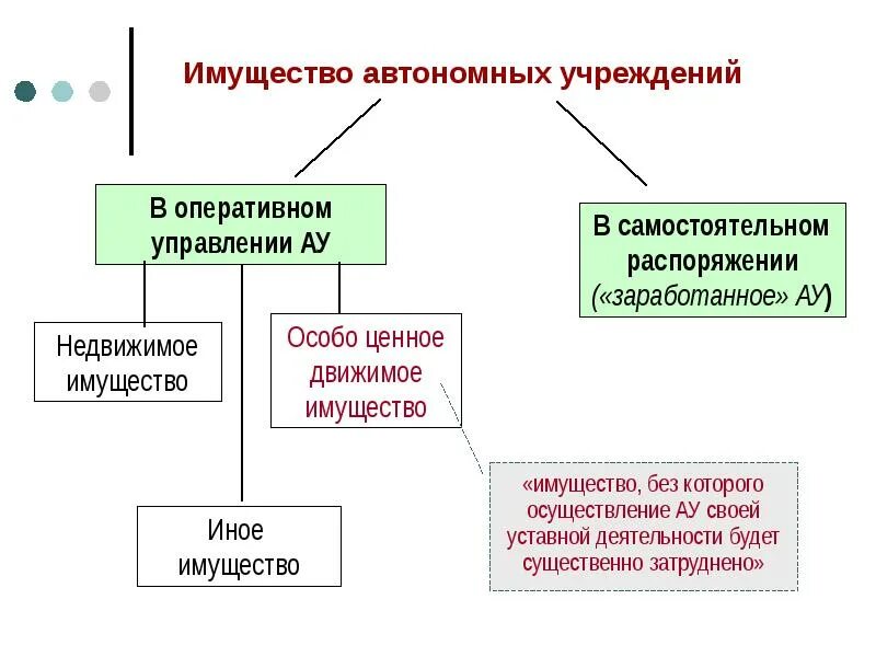 Оперативное управление автономного учреждения. Особо ценное движимое имущество бюджетного учреждения. Особо ценное недвижимое имущество в бюджетном учреждении. Особо ценное движимое имущество автономного учреждения. Основные средства в бюджетном учреждении.