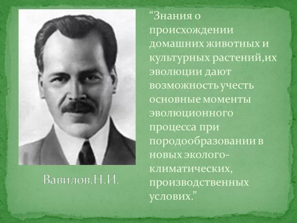 Центры происхождения культурных растений н и Вавилова. Учение Вавилова о центрах происхождения культурных растений. Учение Вавилова о центрах многообразия и происхождения. Н И Вавилов.