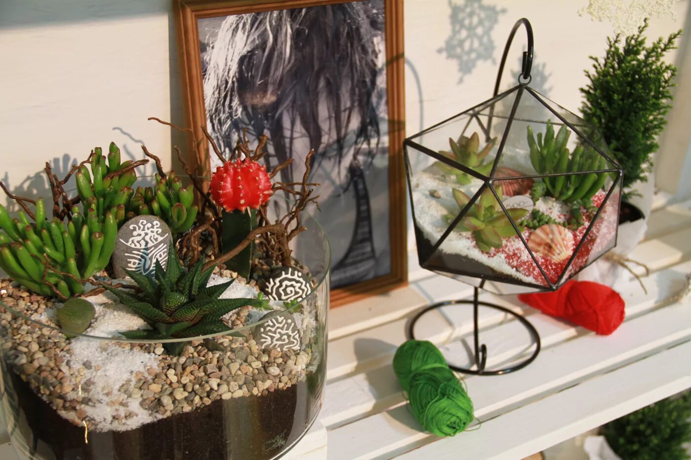 антуриум + фиттония + хедера;. растущие композиции. аранжировки пот-э-флер. удольфианский минисад. пот-э-флер из комнатных растений.