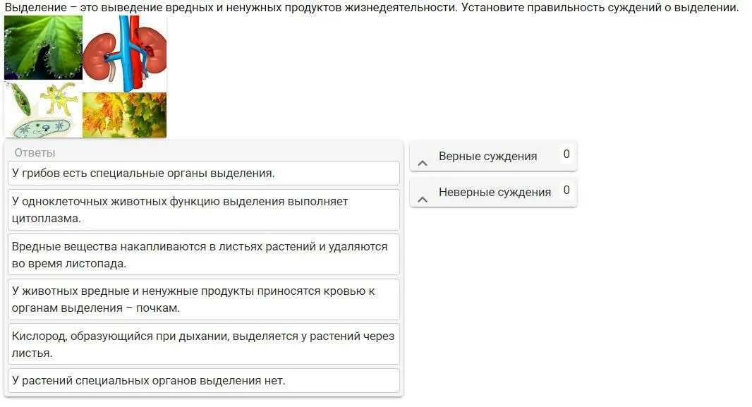 Как происходит удаление вредных продуктов жизнедеятельности. Выведение продуктов жизнедеятельности. выведение продуктов жизнедеятельности у растений. как удаляются ненужные продукты жизнедеятельности у животных.