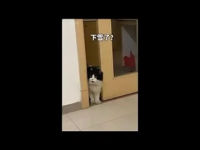 Вы тоже это чувствуете. Вы тоже это чувствуете
