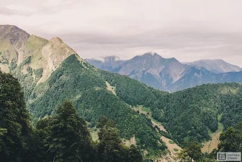 Mount raw
