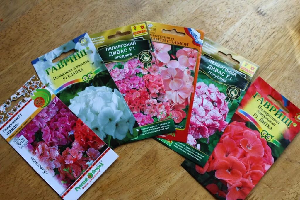Семена цветов пеларгония бордюрная смесь цветущий сад. Семена цветов пеларгонии. Семена герани королевской пионовидные. Семена цветов пеларгонии. Семена цветов пеларгонии.