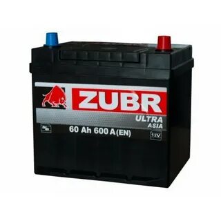Zubr zubr r