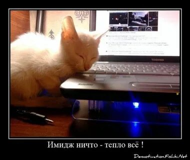 Ничего тепло