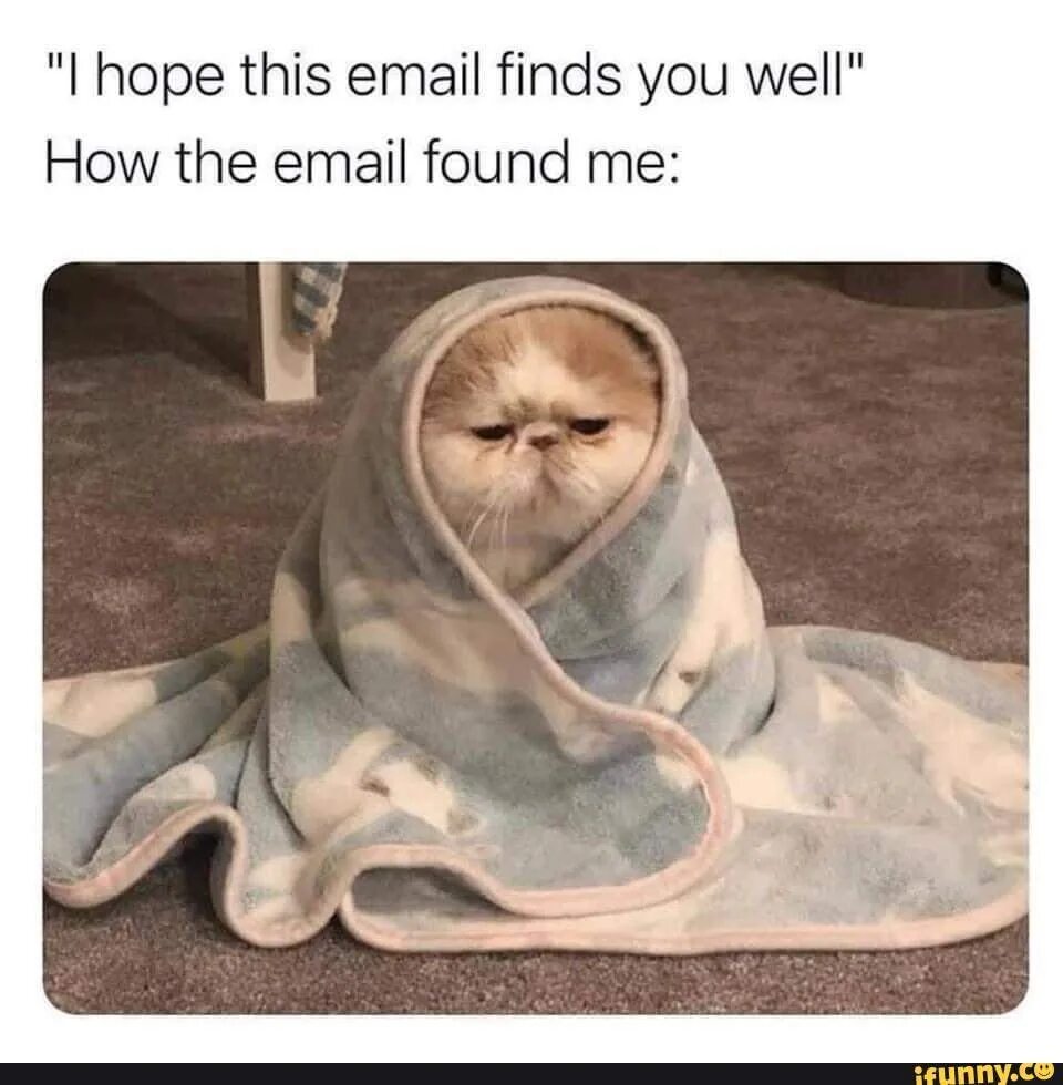Hope this letter. Hope this email finds you well. i hope this email finds you well. hope my email finds you well. i hope my email finds you well.