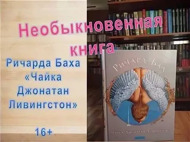 Книги ричарда баха отзывы. Чайка Джонатан Ливингстон цитаты.