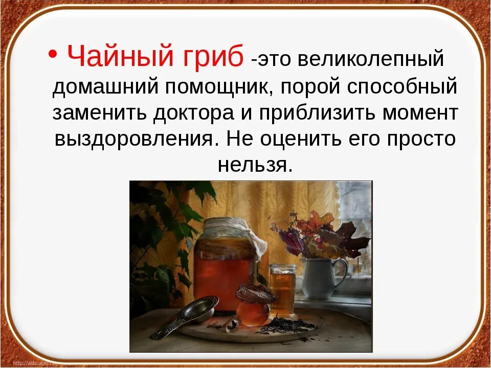 Как заварить чайный гриб на 3 литровую. Чайный гриб презентация. Чайный гриб приготовление. Грибной чай. Чайный гриб приготовление в домашних.