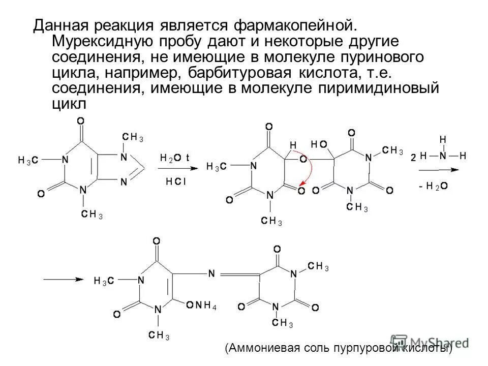 Общегрупповые реакции подлинности. Теофиллин мурексидная реакция. Барбитал мурексидная реакция. Кофеин мурексидная проба реакция. Мурексидная проба на теофиллин.