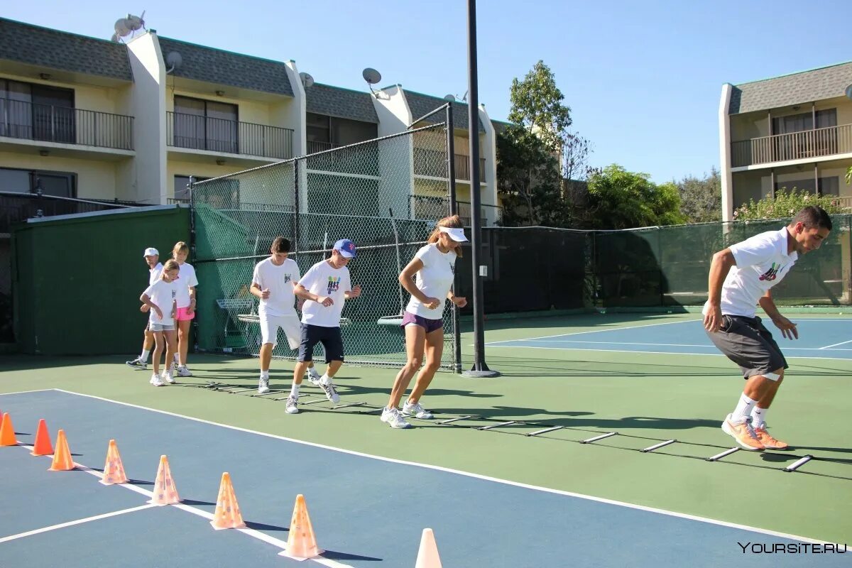 Профессиональные теннисисты. Теннисные тренировки. Большой теннис. Большой теннис тренировка. Теннис тренировка.