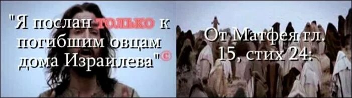 Я пришел к овцам дома израилева. К язычникам севера не ходите. к язычникам севера не ходите ибо безгрешны они. заблудшие овцы дома израилева. я пришел к погибшим овцам дома израилева.
