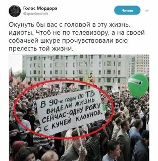 Живите идиоты
