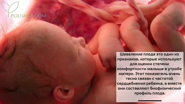 15 неделя беременности можно ли почувствовать шевеления