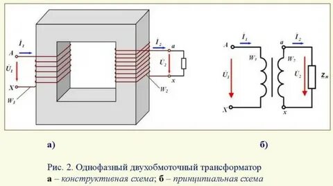Транссексуалдың ұрығында