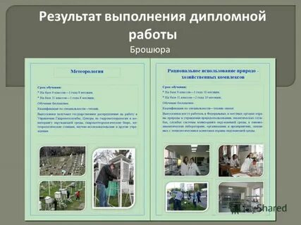 Дипломная работа спо