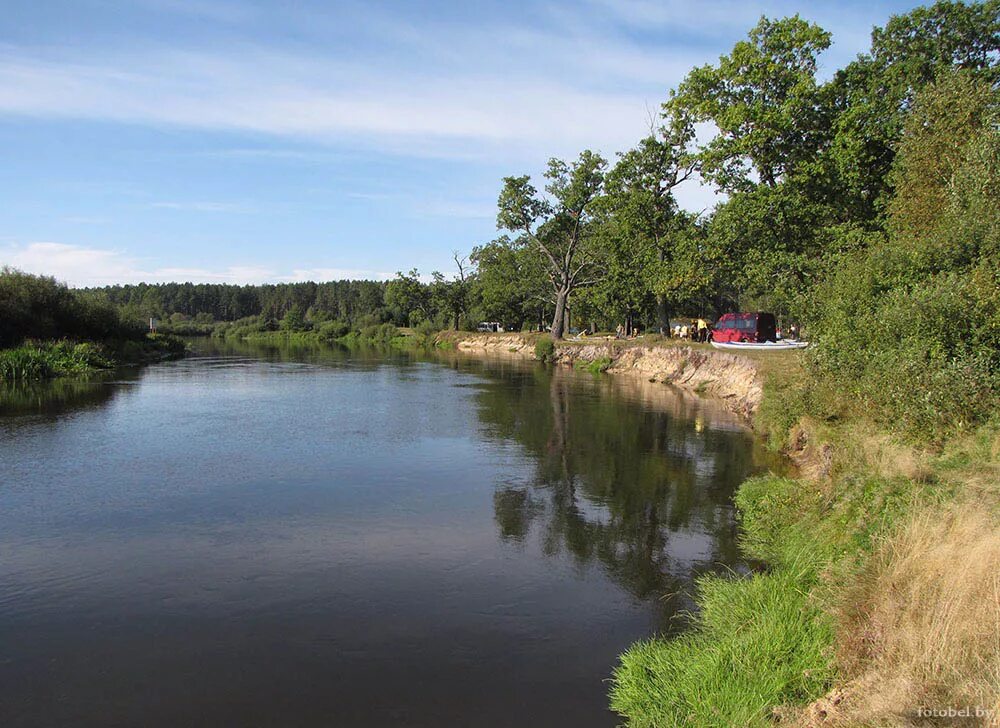 копцевичи петриковский район. пцiч поселок. глуск птичь река. копцевичи петриковский район. птичь петриковский.