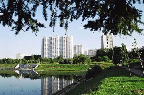 чертаново центральное район москвы. северное чертаново. поставщики цветов. чертаново южное надпись. клумба мск цветы кастанаевская.