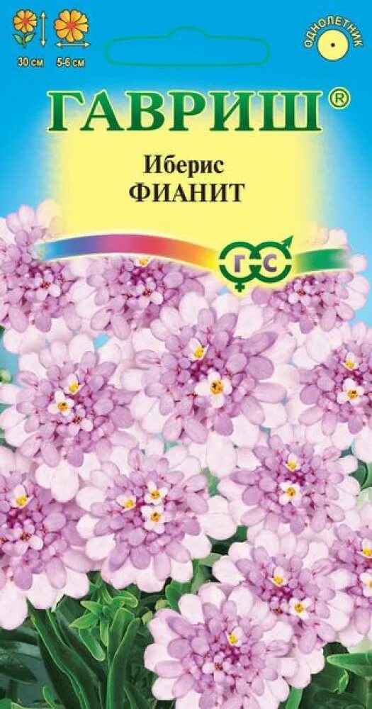 Иберис купить семена. Гавриш иберис зонтичный. Иберис зонтичный фианит. Иберис зонтичный смесь окрасок. Семена Гавриш иберис.