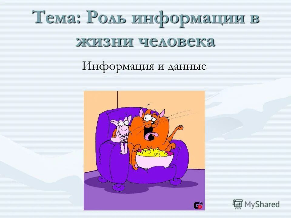 Информации в жизни человека. Роль информации в живой природе и в жизни людей. Роль информации в жизни человека. Информация в жизни человека. Информации в жизни человека.