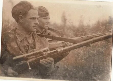 Стрелковая дивизия 1941 г