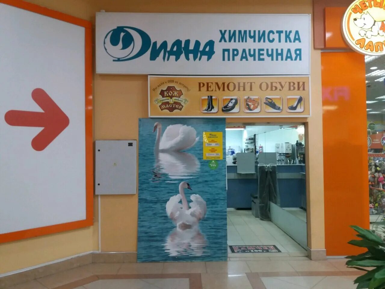 химчистки иваново адреса. химчистка в евролэнд иваново. химчистка в ашане. химчистка в евролэнд иваново. химчистка иваново шереметевский проспект реалстар.