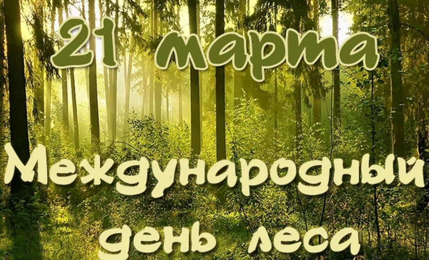 21 международный день леса. День леса. Международный день лесов. Междуанродныйдень лесов.