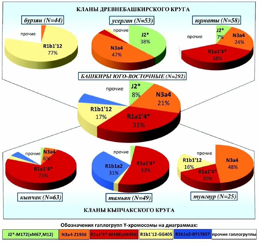 Генетика национальность. Гаплогруппа c1a2. Гаплогруппы ДНК. Гаплогруппы татар и башкир. Гаплогруппа r1b башкиры.