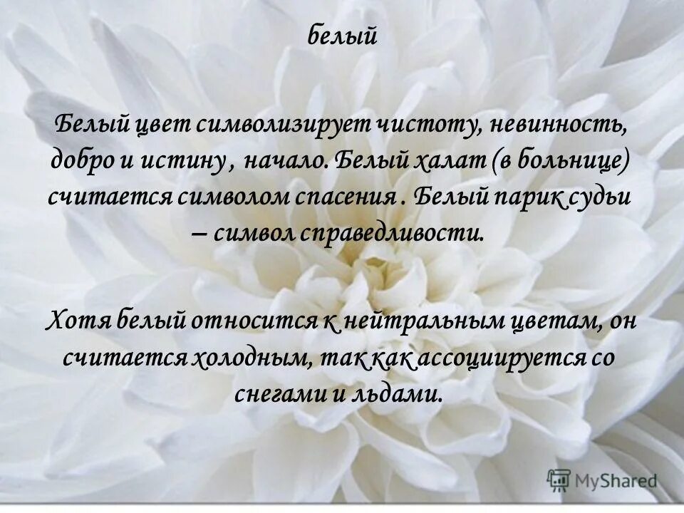 Зеленый цвет высказывания. Цитаты про белый цвет. Цитаты на белом. Белый цвет символизирует. Красивые цитаты про белый цвет.