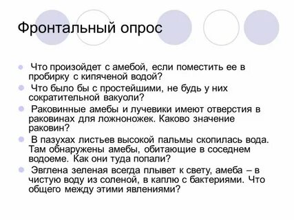 Амеба делится на 2 каждые 3 часа