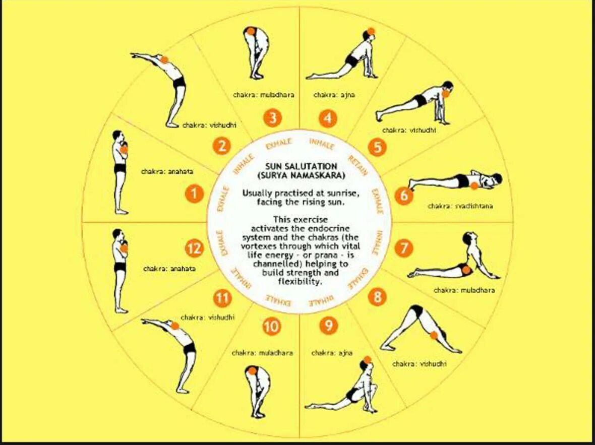 Комплекс Сурья Намаскар Приветствие солнцу. Йоговский комплекс упражнений — Сурья Намаскар (Приветствие солнцу).. Сурья Намаскар Шивананда йога Приветствие солнцу. Комплекс асан Сурья Намаскар. Комплекс приветствие солнцу