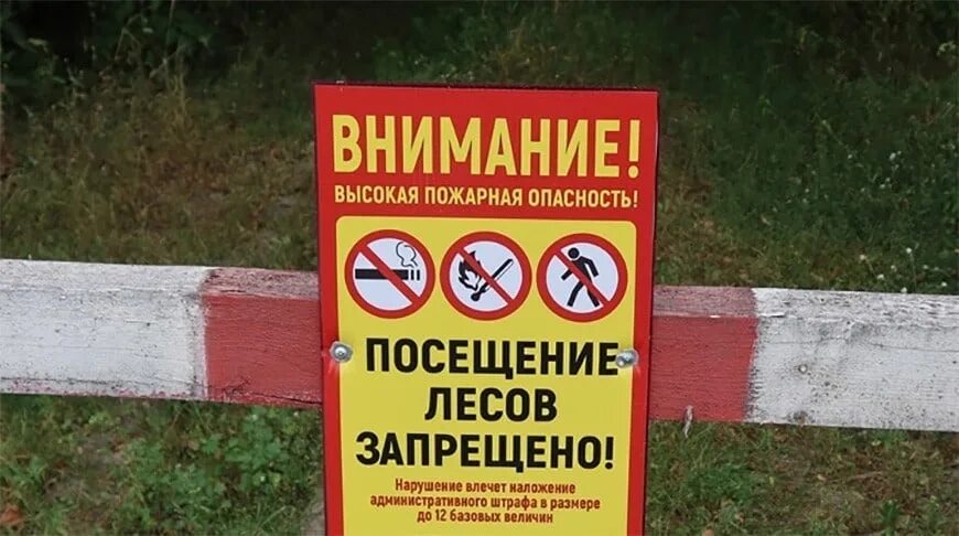 Запрет на посещение лесов. Ограничение посещения лесов. Посещение леса запрещено. Посещение лесов запрещено табличка.