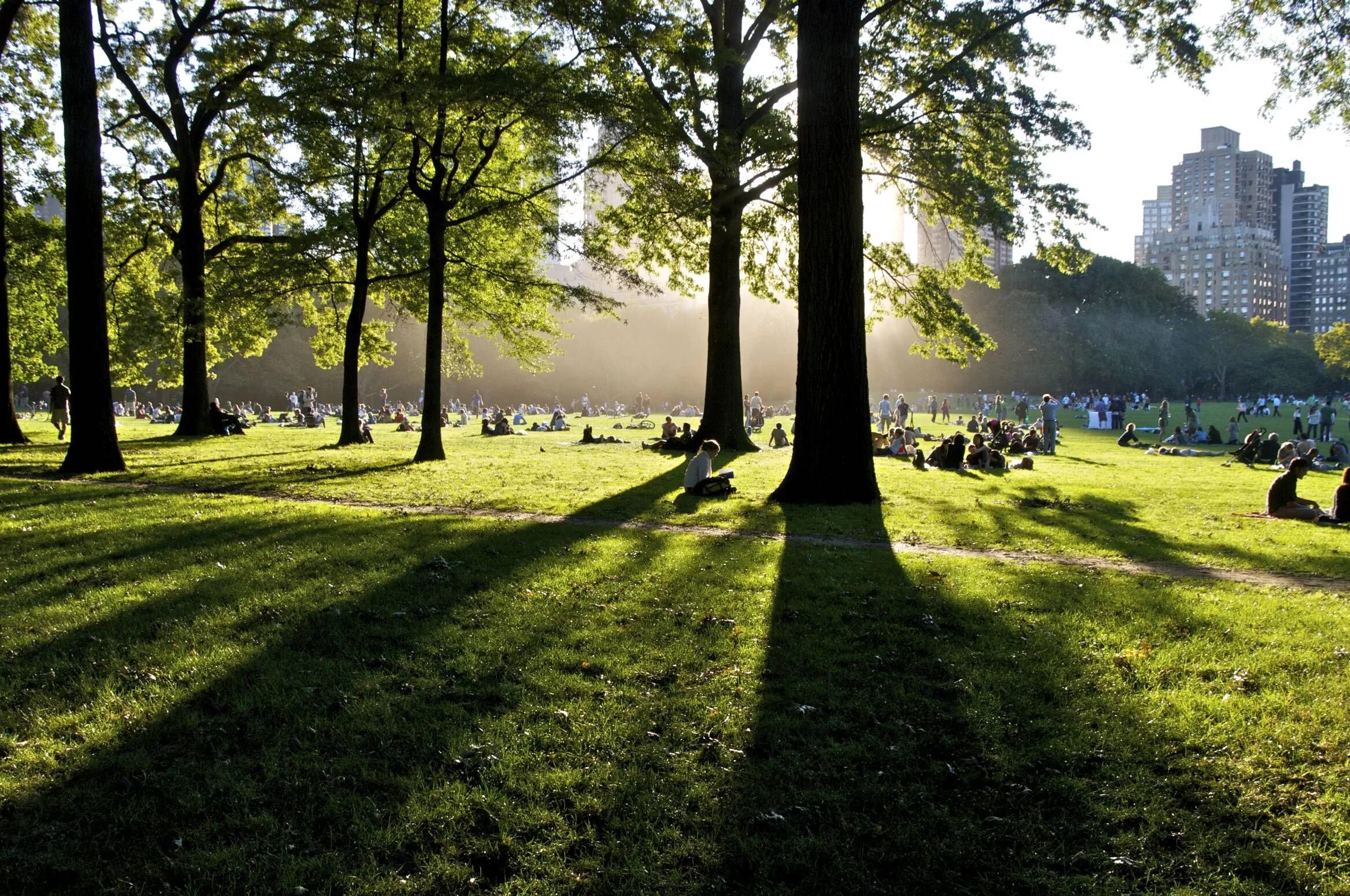 Центральный парк Нью-Йорк пикник. Afternoon. Sheep Meadow Central Park. Sheep Meadow Central Park at Night. Wednesday afternoon