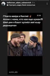 Телеграм террористы