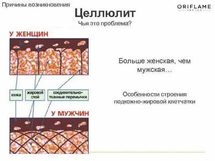 Подкожная клетчатка норма